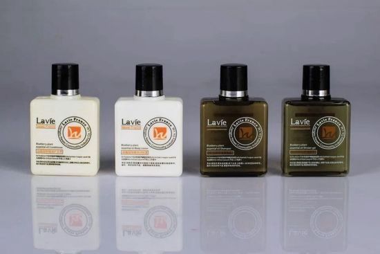 Eco Friendly Portable Luxury Hotel Amenities Hotel Complimentary Toiletries