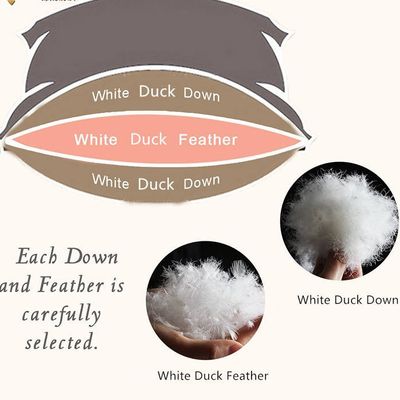 100% Cotton Soft Hotel Pillows Duck Feather Comfortable And High Durability