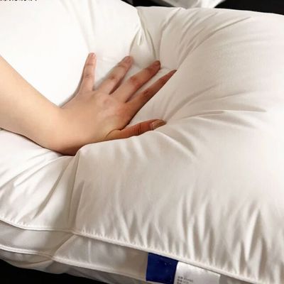 Anti Static Double Adjustable Soft Hotel Pillows Cotton Filled Pillows