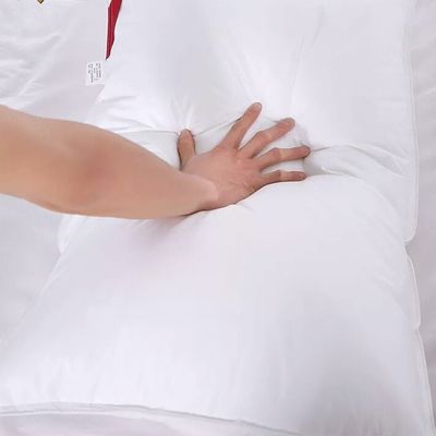 Comfortable Decorative Hotel Bed Pillows Hotel Collection Down Pillows