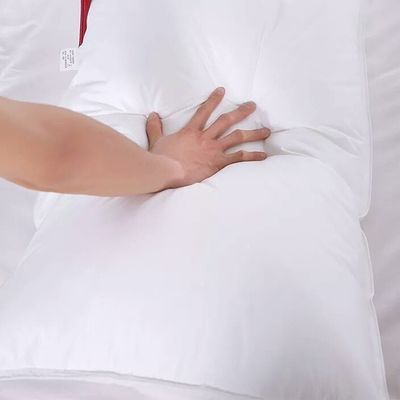 Dust Resistant Hotel Quality Down Pillows Customized For Adults